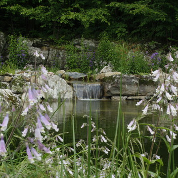 Natural swim pond