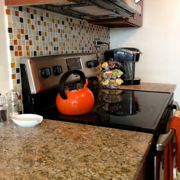 Chicago Hyde Park Condo Kitchen Renovation