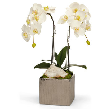 Artificial  double phalaneopsis  Orchid in Square Container With Geode, Green