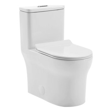 Burdon One Piece Square Toilet Dual Flush 0.8/1.28 gpf, Glossy White