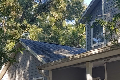 Shingle Roof Soft Wash Black streaks removal