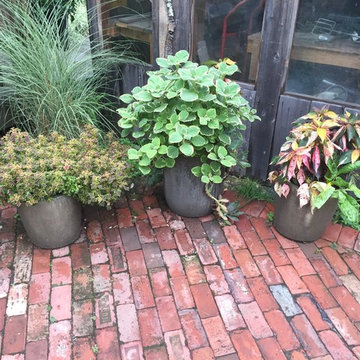 container gardens