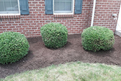 Mulching/Hedge trimming