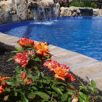 Pool Landscaping with Roses (Long Island/NY):