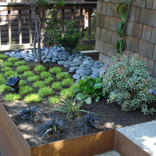 backyard landscape