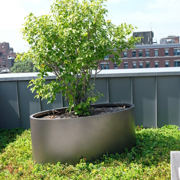 Penthouse Patio & Green Roof - Beacon Hill, Boston