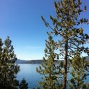 Amy Layton's photo