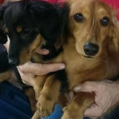 Sandra Caron-Mitchell Gagnier's photo