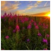 Kay Brantnall's photo