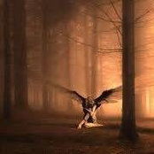Dalila Bo's photo
