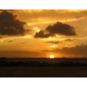 Lofton Wilborn's photo