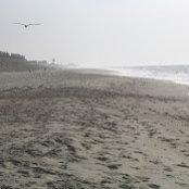 Jason Barillaro's photo