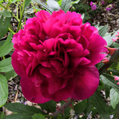 Claire Martin's photo