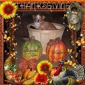 Lori Ann Hunsicker's photo