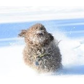 Michele Rainville's photo