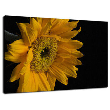 Sunflower from Left Floral Nature Photography Canvas Wall Art Print, 18" X 24"