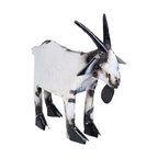 Recycled Metal Garden Farmhouse Goat-Handmade-Rustic, White & Black, Small