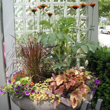 Landscape Ideas