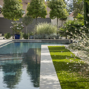 Piscine Couloir de Nage