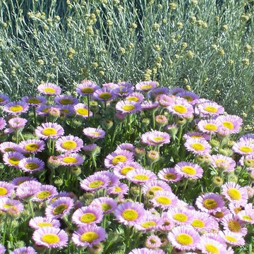 Jardin du Littoral
