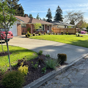 Budget Front Yard in Fircrest