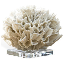 Contemporary Decorative Objects And Figurines White Ribbon Coral Statue