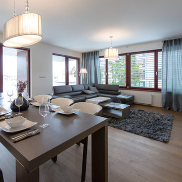 Modern interior in Prague residence