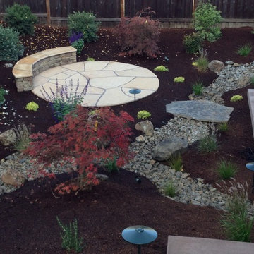 Northwest Petaluma Garden