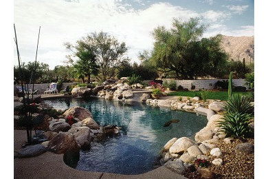 Inspiration for a pool remodel in Phoenix