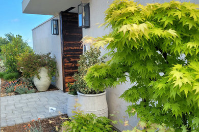 This is an example of a modern landscaping in Sacramento.