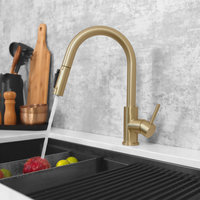 Single Handle Pull Down Kitchen Faucet With Reversible Osmosis, Brushed Gold