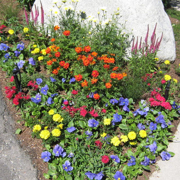 Annual Flower Gardens