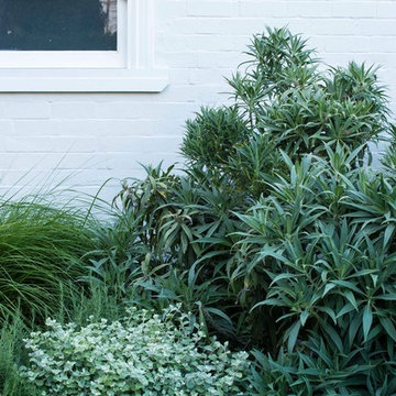 Cottage Garden