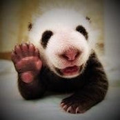 Jason Chen's photo