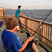 Donna Sicklers foto