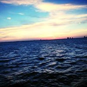 Amanda Pisel's photo