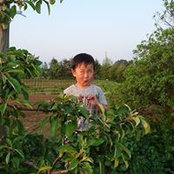Foto von 藤川健治
