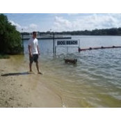 Colin Newton's photo