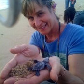 Foto de Cathy Forkas