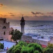 بحر يافا's photo