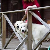 Anna Khrapunenka's photo