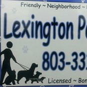 Lexington Pet-sitter's photo