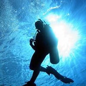 Gina Young's photo