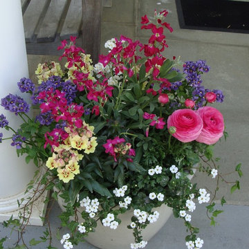 Spring into Summer
