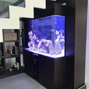Custom-made Reef Tank at Doral
