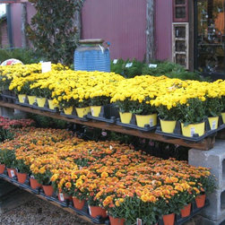 Fall Decor - Outdoor Products
