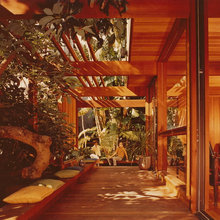Another Home in the Trees