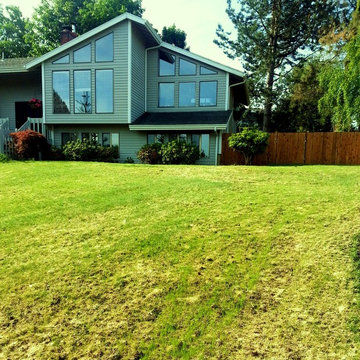 Extreme LandscapeMakeover Turf:  "Agroscopic Turf Surgery"