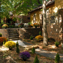 Landscape Ideas