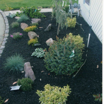 Front Yard landscaping with Belgium Block tree rings
